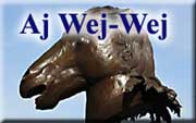 Veletržní palác - AJ WEJ-WEJ - ZVĚROKRUH - 6.2.2016