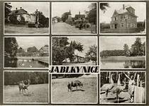 Jablkynice
