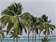 Blíží se vítr - Hotel Grand Paradise Bávaro, Dominikánská republika