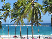 Palmy, pláž a oceán - Hotel Grand Paradise Bávaro, Dominikánská republika