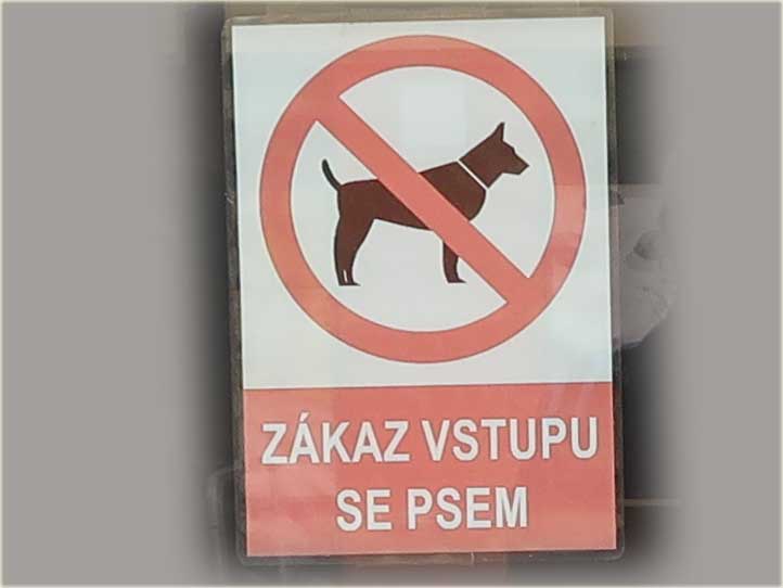 Zákaz vstupu se psem