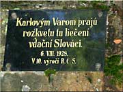 Karlovým Varom prajú 1928