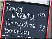 Pampelišková a borůvková limonáda