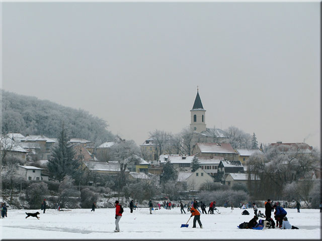 Zamrzlý Libocký rybník v roce 2003