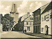 48 - hotel Zelen strom