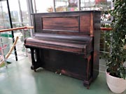 Jiné pianino v zahradnictví Chládek