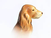 Porcelánový sedící kokršpaněl