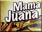 Mamajuana - suchá směs Sabor