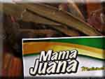 Mamajuana 2