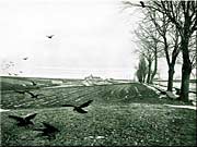 Bílá hora rok cca 1895